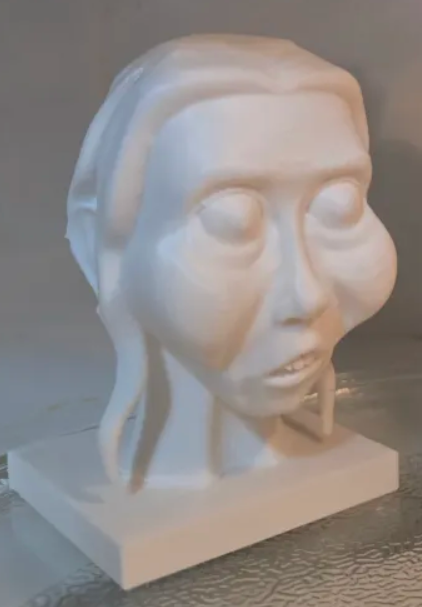 3D printed caricature bust